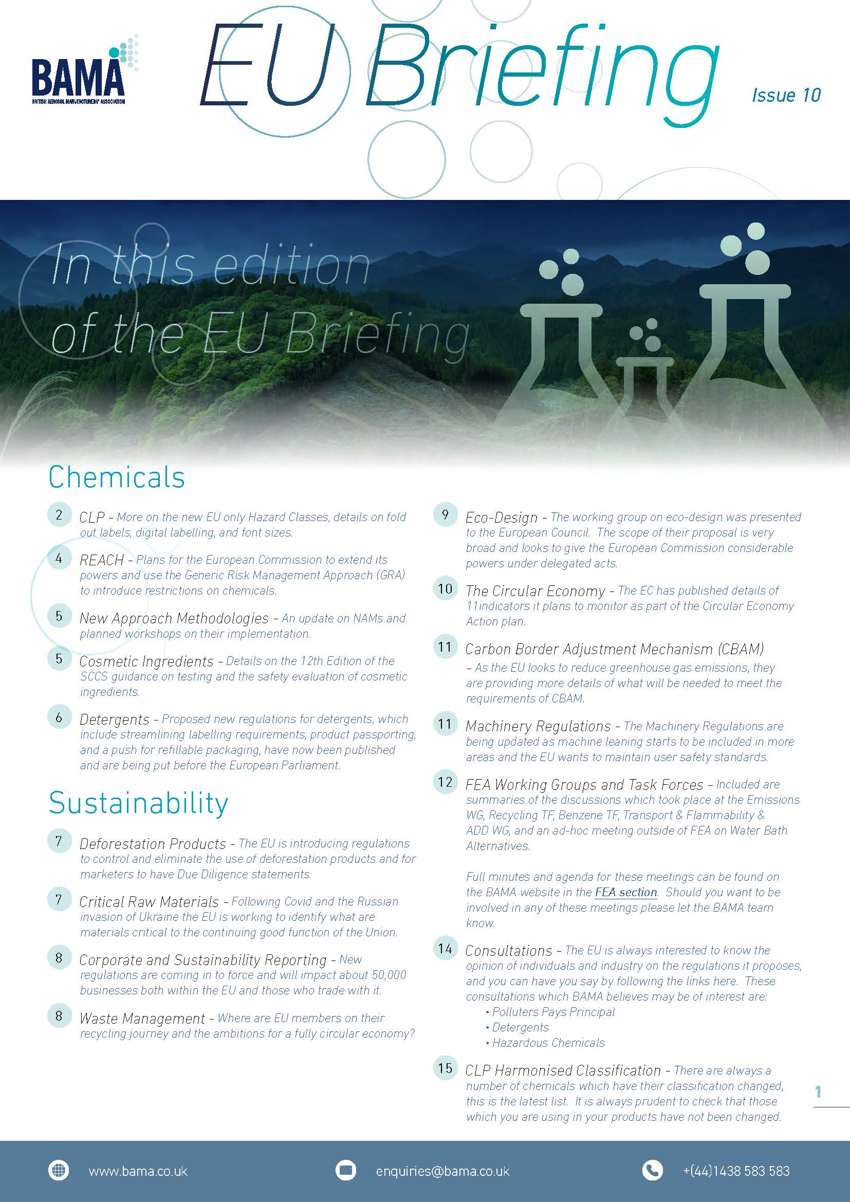 EU Briefing Issue 10